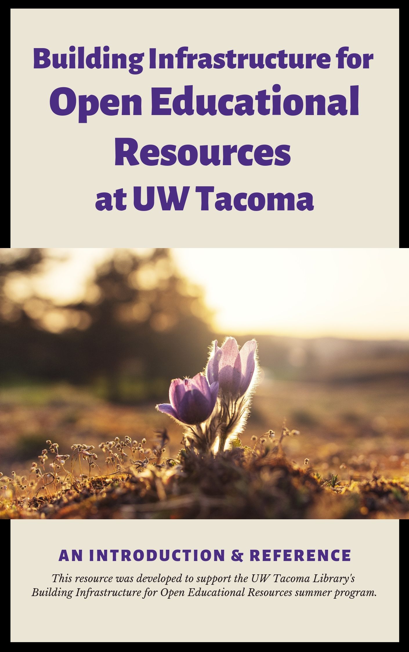 Cover image for Building Infrastructure for Open Educational Resources at UW Tacoma