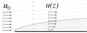 Boundary Layers