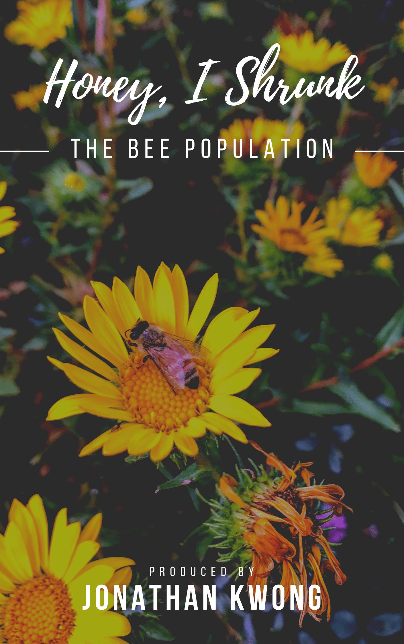 Cover image for Honey, I Shrunk the Bee Population