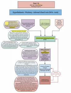 Endocrine Regulation of Reproductive Systems – Comparative Endocrinology