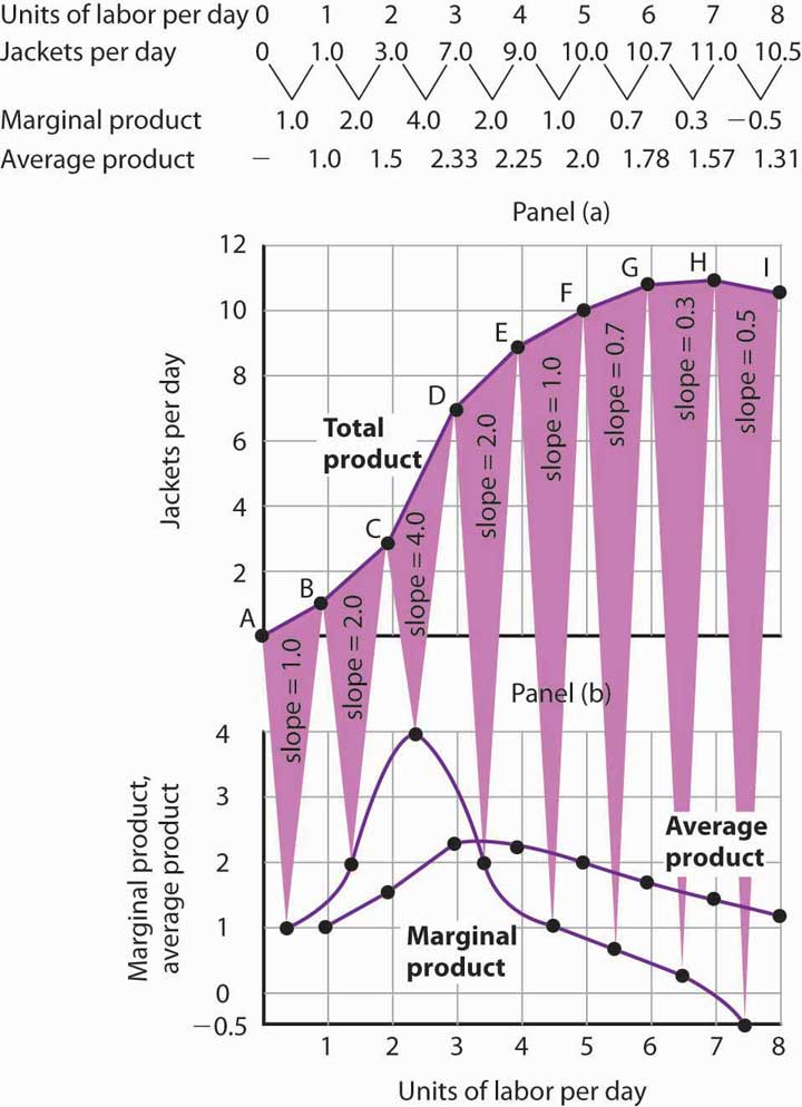 From Total Product to the Average and Marginal Product of Labor