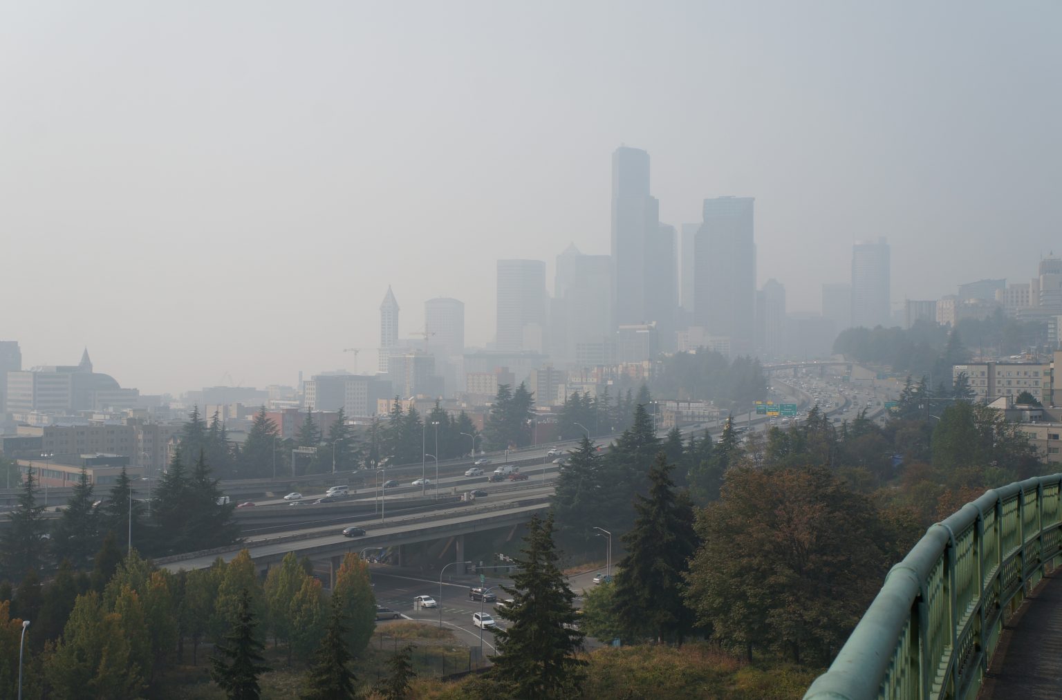 Environmental Health Disparities in Seattle Building a Greener Future