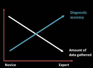Data gathered versus diagnostic accuracy for novices and experts