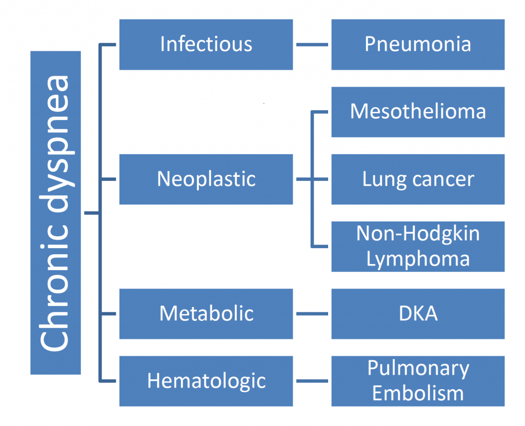 Chart of chronic dyspnea. (1) infectious: pneumonia. (2) neoplastic: mesothelioma; lung cancer; non-hodgkin lymphoma. (3) metabolic: DKA. (4) hematologic: pulmonary embolism.