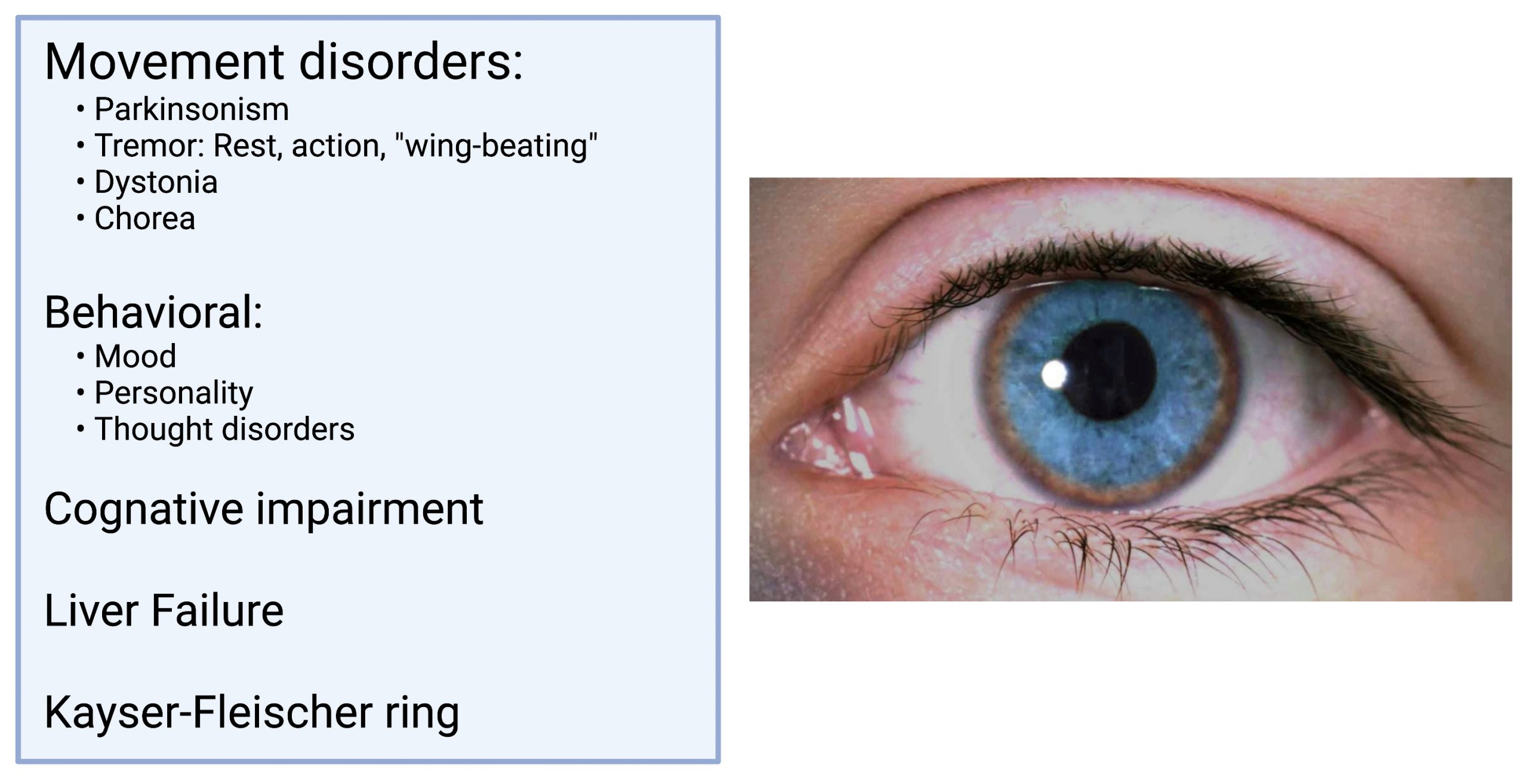 What are these rings in my boyfriend's eyes? He's never noticed them and  neither did I until last week. : r/Health