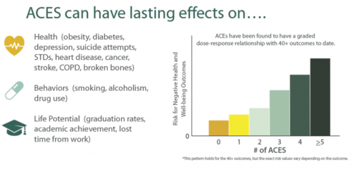 ACES can have lasting effects on health, behaviors, and life potential.