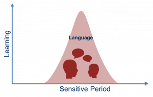 Language sensitive period