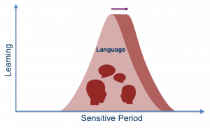 Sensitive period for bilinguals