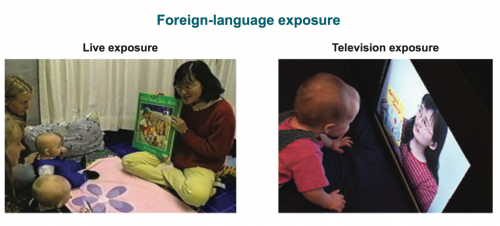 Foreign Language Exposure Methods