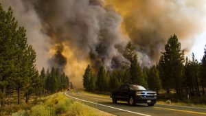 forest burning with lots of smoke