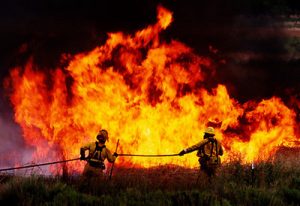 Firefighters battle a 2007 Nevada wildfire fueled in part by invasive cheatgrass. Credit: Sparks Tribune