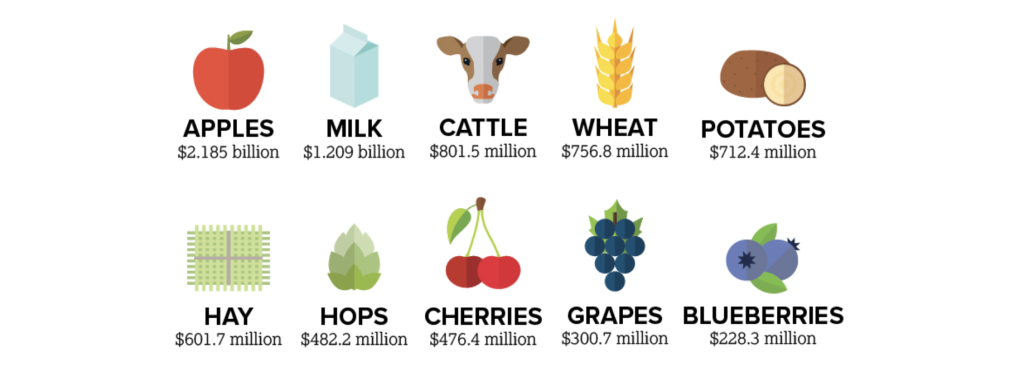 Washington's farms power a diverse agricultural economy, led by the state's apple industry with 70 percent of U.S. production.