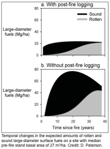 Temporal changes in the expected amounts of rotten and sound large-diameter surface fuels on a site with median pre-fire stand basal area of 27 m2/ha