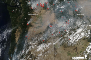 Map of Wildfires in the Pacific Northwest forest