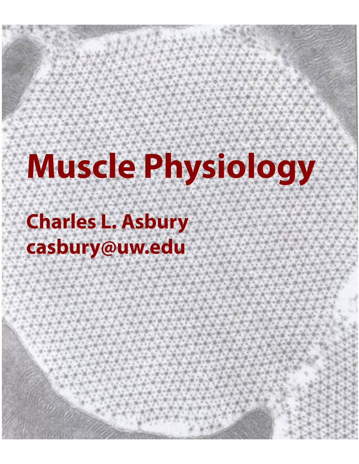 Cover image for Muscle Physiology