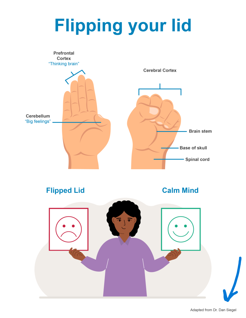 Illustration of "Flipping Your Lid" adapted from Dr. Dan Siegel.