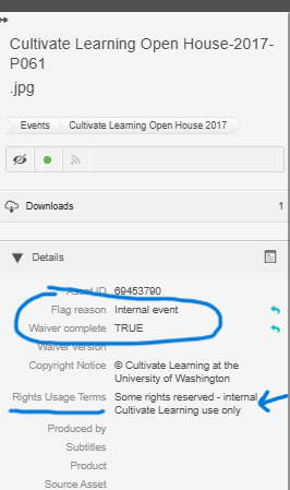 Screenshot illustrating metadata fields on media in Webdam.