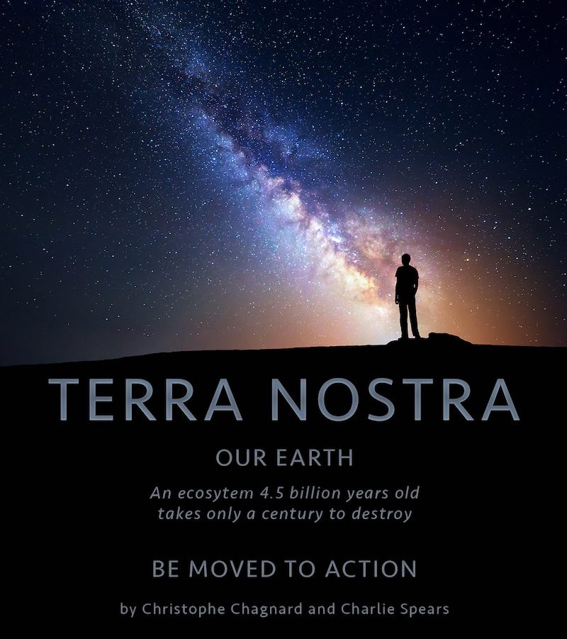 Cover image for Terra Nostra Curriculum Resources