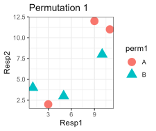 permutation hypothesis test in r