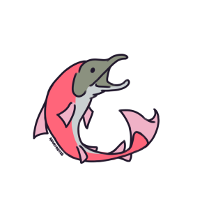 A drawing of a pink Chinook Salmon.