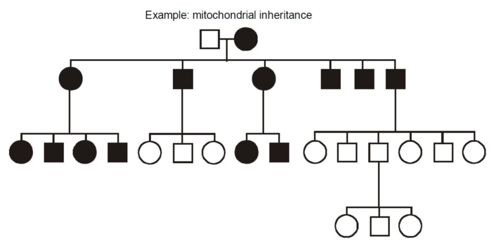 Other types of inheritance – Genetics