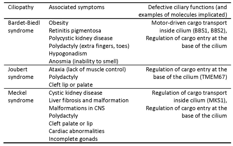 Table of ciliopathies
