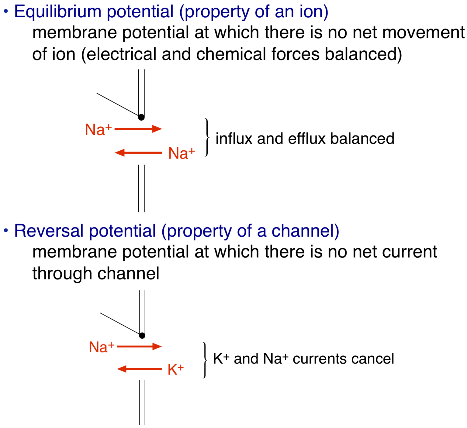 Action Potential Threshold Refractory Period Physiology 3276