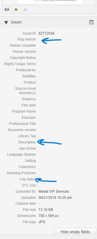 Screenshot of metadata fields sections