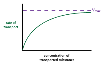 graph showing kinetics of carrier-mediated transport