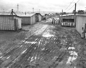 Makeshift barracks along a muddy dirt road.