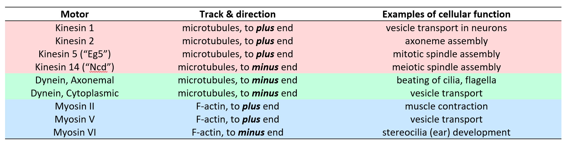 Table listing examples from three families of molecular motors.