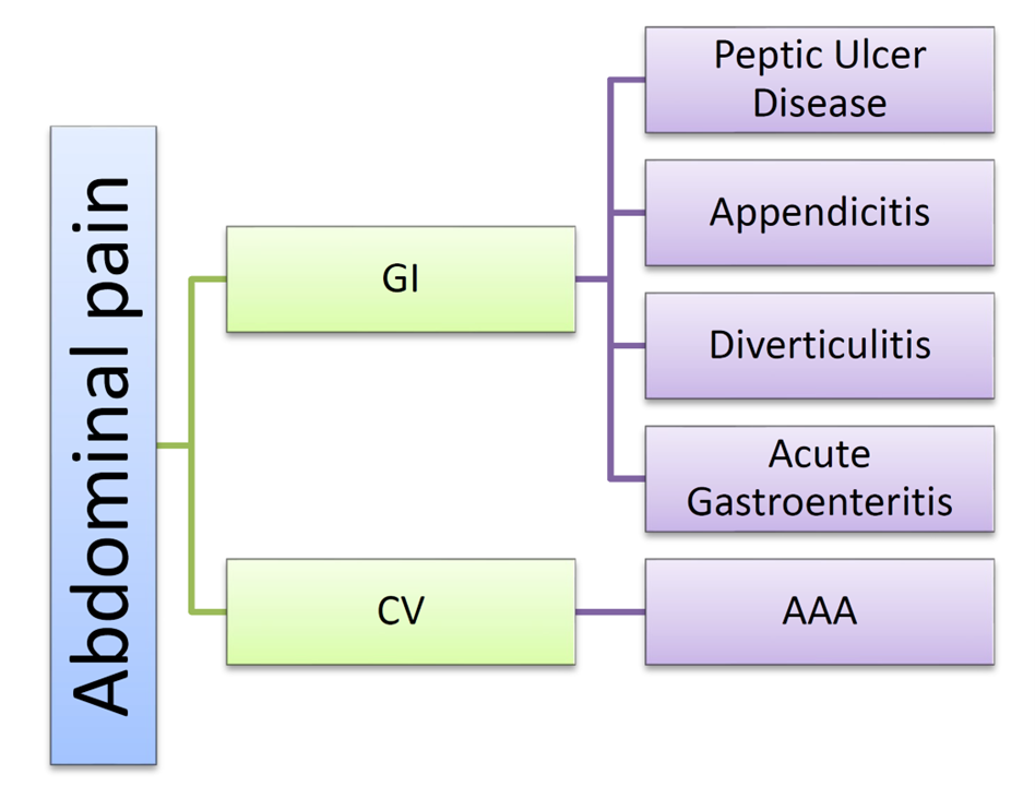 Diagram of abdominal pain. (1) GI: peptic ulcer disease; appendicitis; diverticulitis; acute gastroenteritis. (2) CV: AAA.