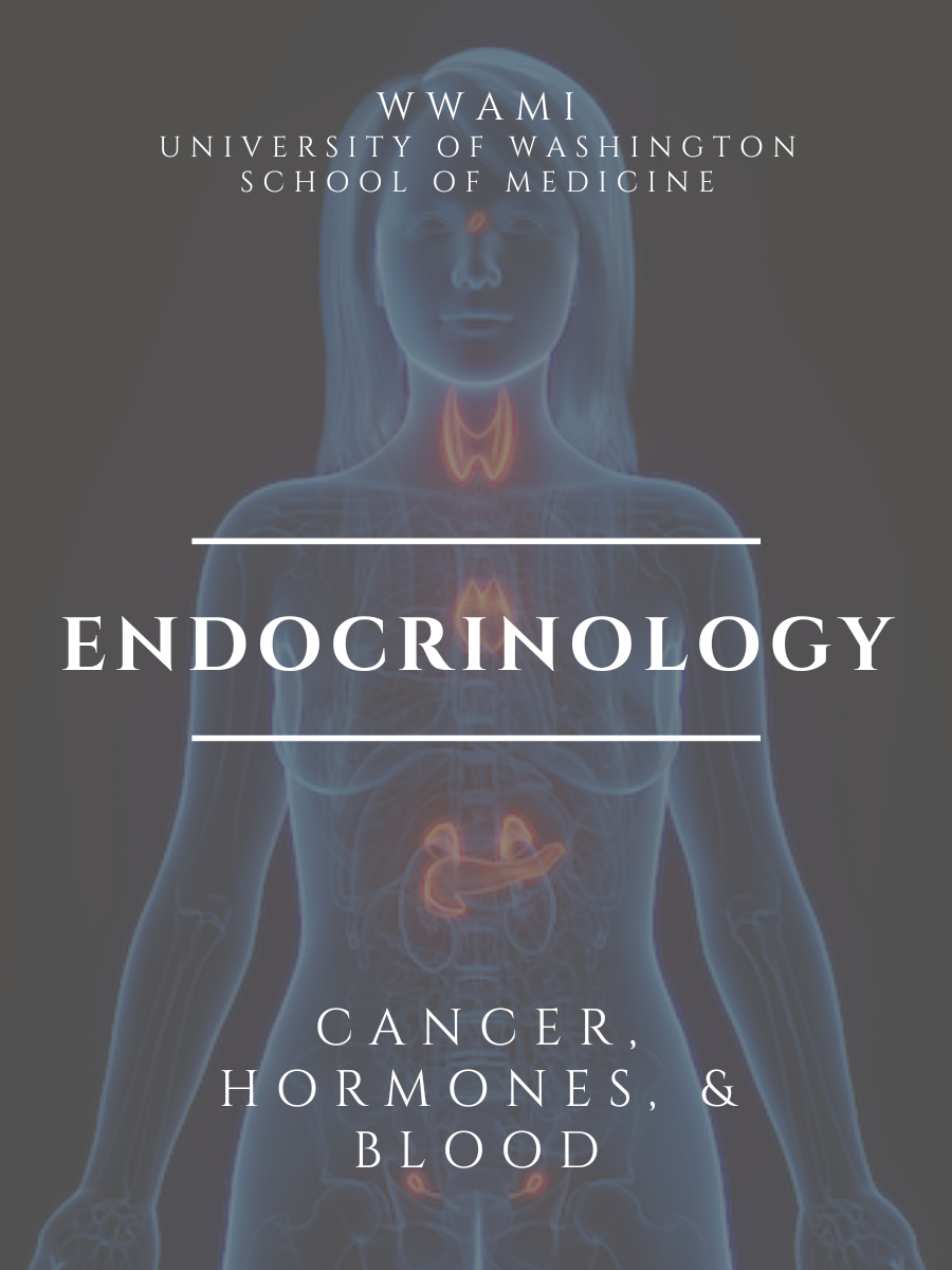 Cover image for Endocrinology UWSoM