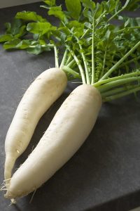 Two long, white radishes with green leaves at the top.