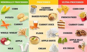 Graphic depicting different foods in categories of Minimally Processed, Processed, and Ultra-Processed
