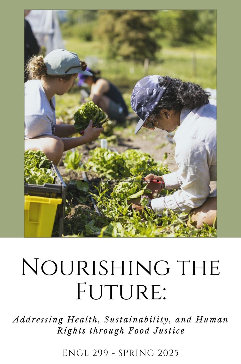 Cover image for Nourishing the Future: Addressing Health, Sustainability, and Human Rights Through Food Justice